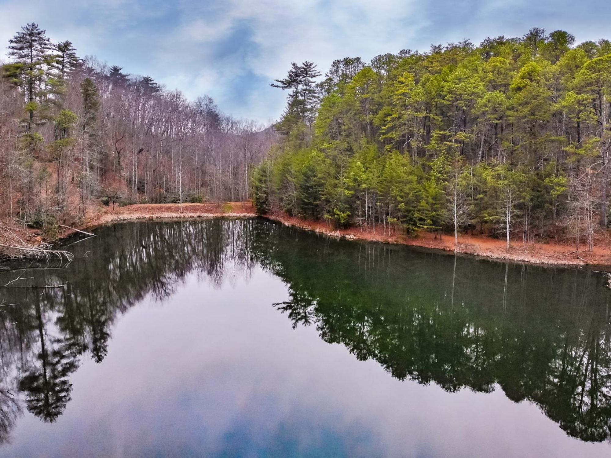 Alpine Joy-Hot Tub, Pond Access ,1089 Of Free Tickets For Each Paid Day, Dollywood And More! Townsend Zimmer foto